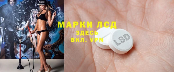 прущие грибы Краснотурьинск