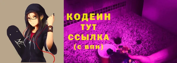 прущие грибы Краснотурьинск