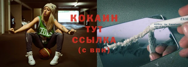прущие грибы Краснотурьинск