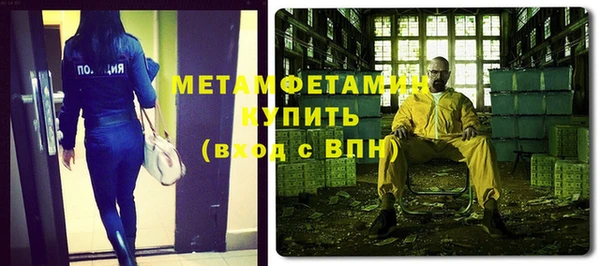 прущие грибы Краснотурьинск
